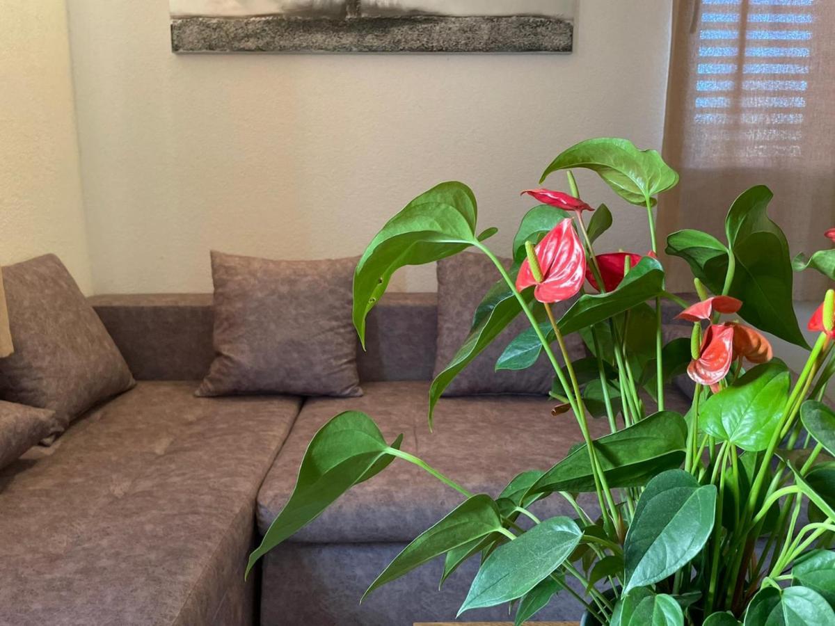 Studio Apartment Dona Trogir Exterior foto